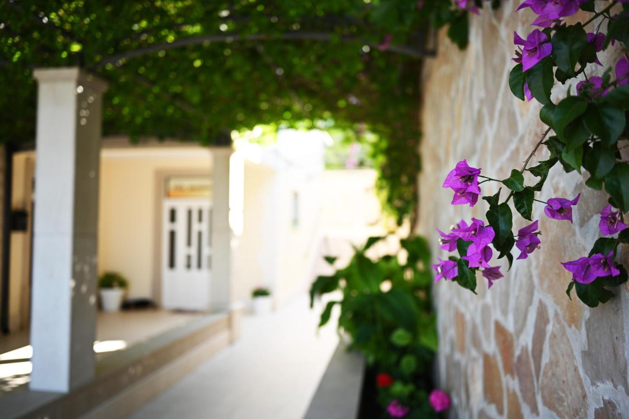 Hvar Villa Malisko Apartments Хвар Экстерьер фото